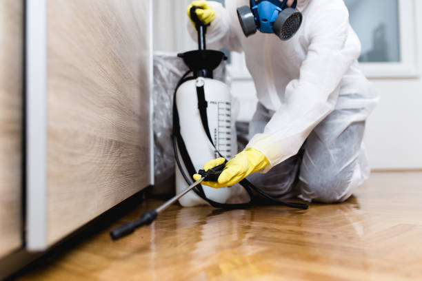Best Affordable Pest Control Services  in Mountain Lakes, NJ