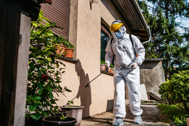 Best Emergency Pest Control  in Mountain Lakes, NJ