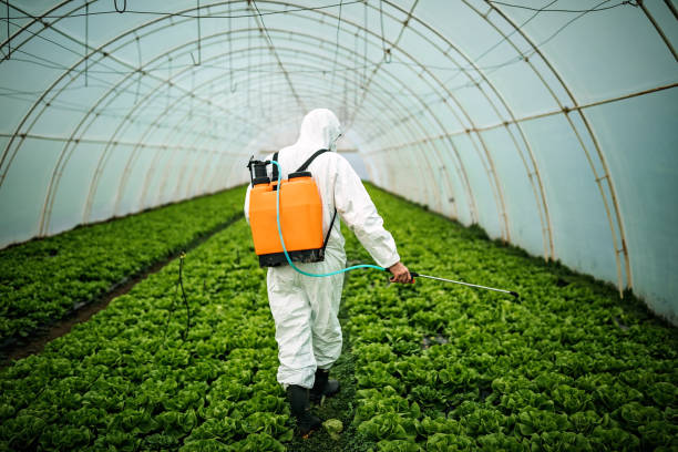 Professional Pest Control in Mountain Lakes, NJ