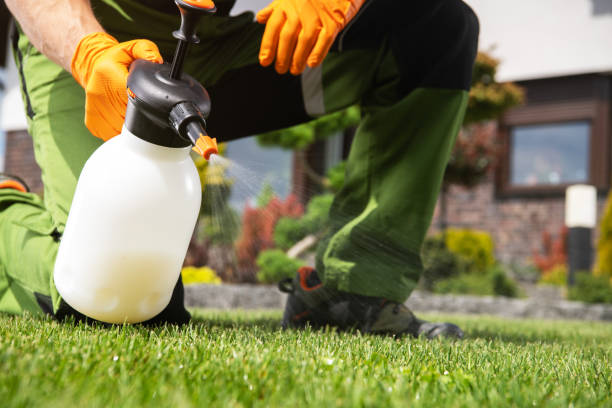 Best Residential Pest Control  in Mountain Lakes, NJ