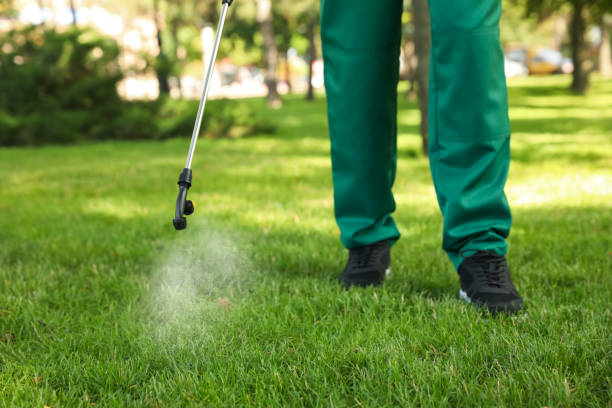 Best Pest Inspection Near Me  in Mountain Lakes, NJ