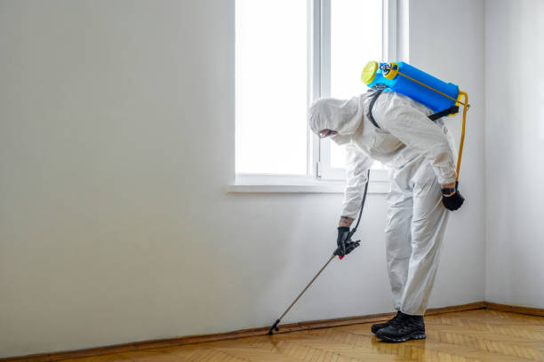 Best Rat Extermination Near Me  in Mountain Lakes, NJ