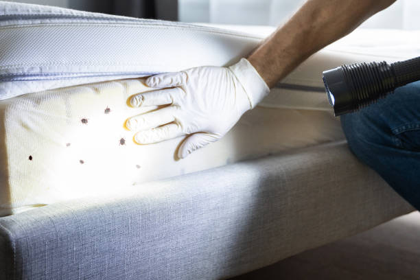 Best Wildlife Control Services  in Mountain Lakes, NJ